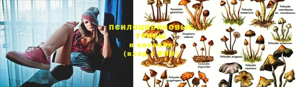 кокаин колумбия Вяземский