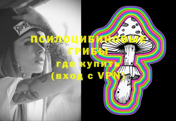 крисы Вязники
